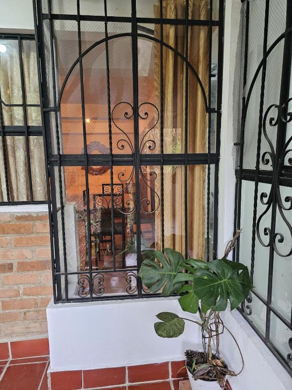 Central Campestre Apartment