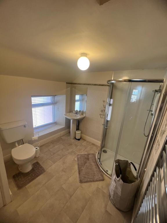 een badkamer met een douche, een toilet en een wastafel bij Epworth Cottage in Crich