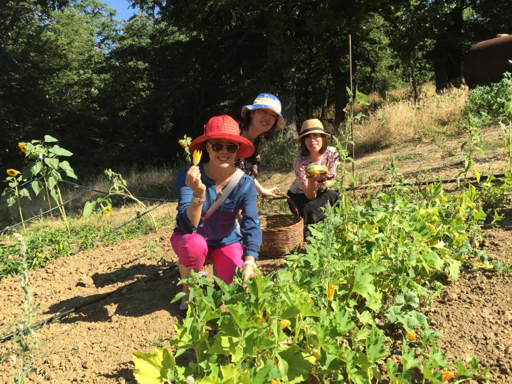 Hosté ubytování Agriturismo La Dimora dei Cavalieri
