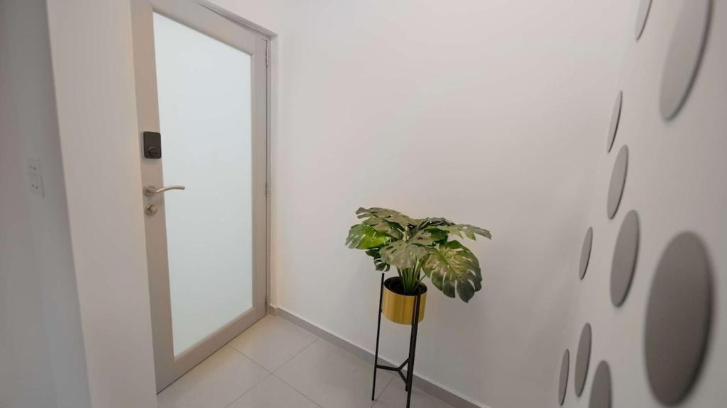 Fotografie z fotogalerie ubytování Aquaville Dorado Moderna Villa 5 v destinaci Dorado
