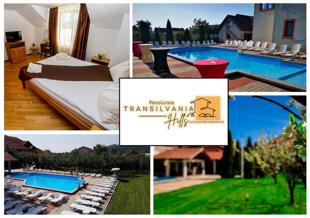 Bazén v ubytování Transylvania Hills nebo v jeho okolí