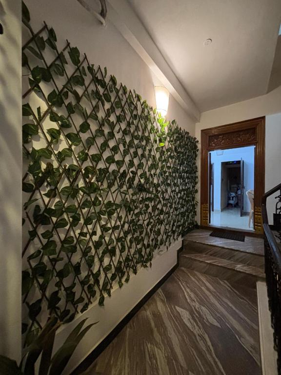 Fotografie z fotogalerie ubytování Le Dreamy Residency v destinaci Puduččéri