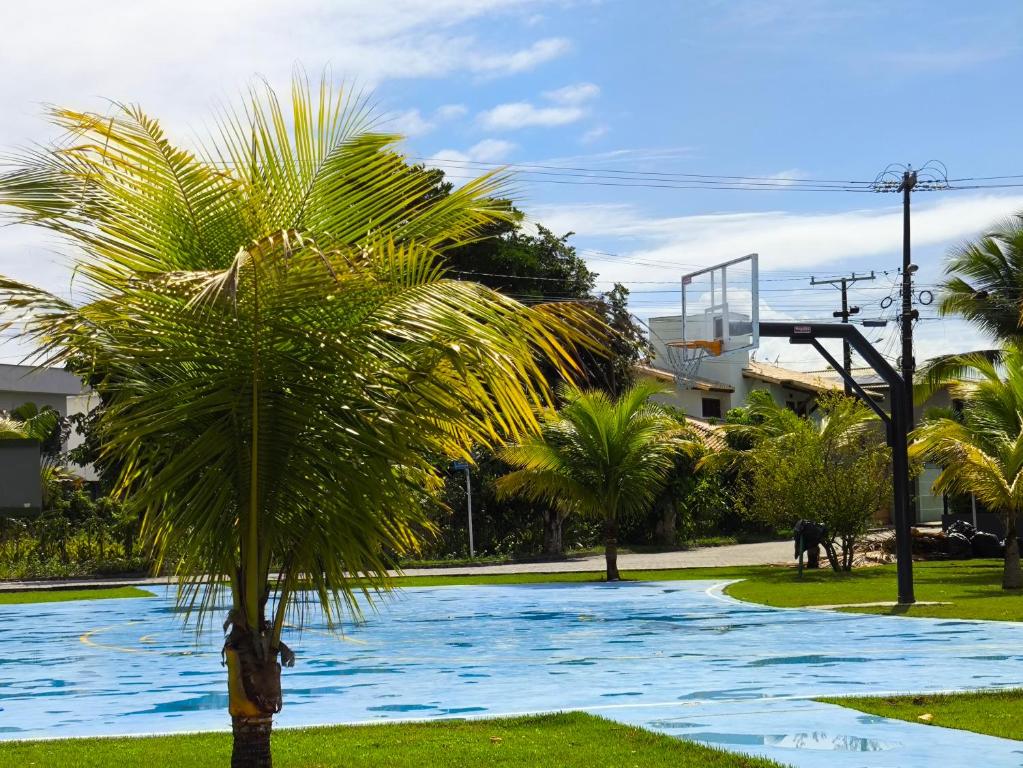 a palm tree in the middle of a flooded street at Residencial Girassol Outeiro in Porto Seguro