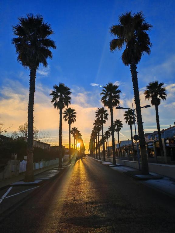 Une rue vide avec des palmiers et le coucher du soleil dans l'établissement La Dolce Vita, à Marseillan