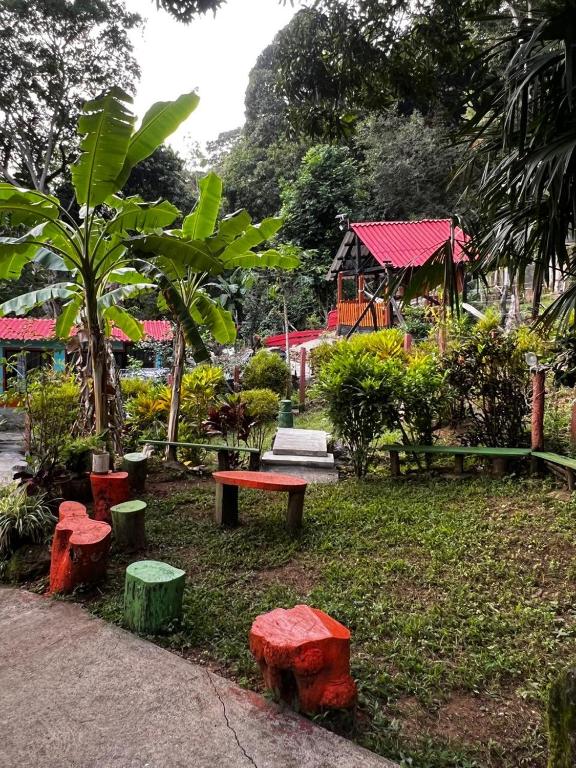 Foto sihtkohas Boquerón de Capira asuva majutusasutuse Finca Peñitas galeriist