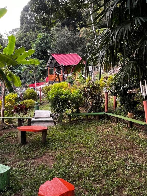 Foto sihtkohas Boquerón de Capira asuva majutusasutuse Finca Peñitas galeriist