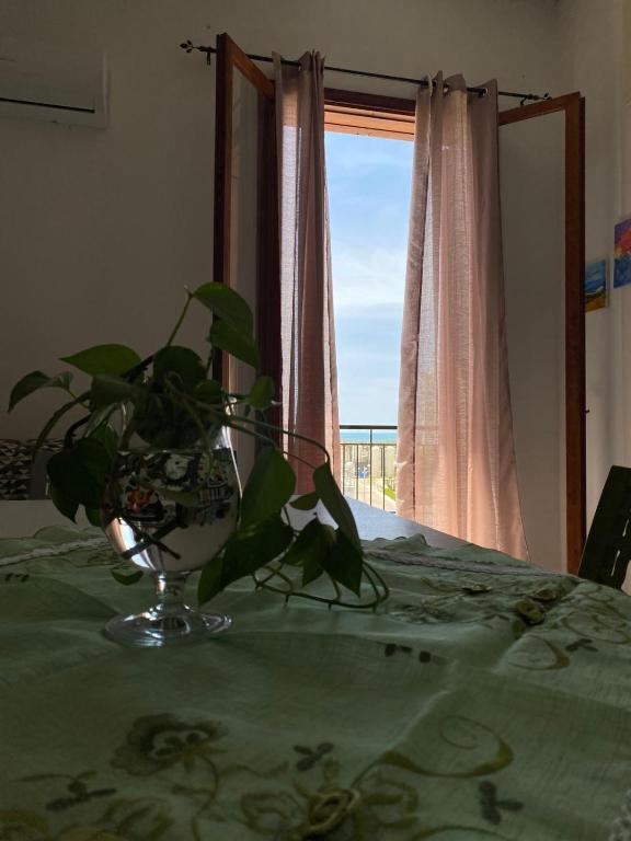 a plant sitting on a table with a window at Vigata Sea in Porto Empedocle