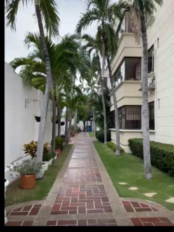 a sidewalk in front of a building with palm trees at Apto Amoblado Paula Andrea 2 in Valledupar
