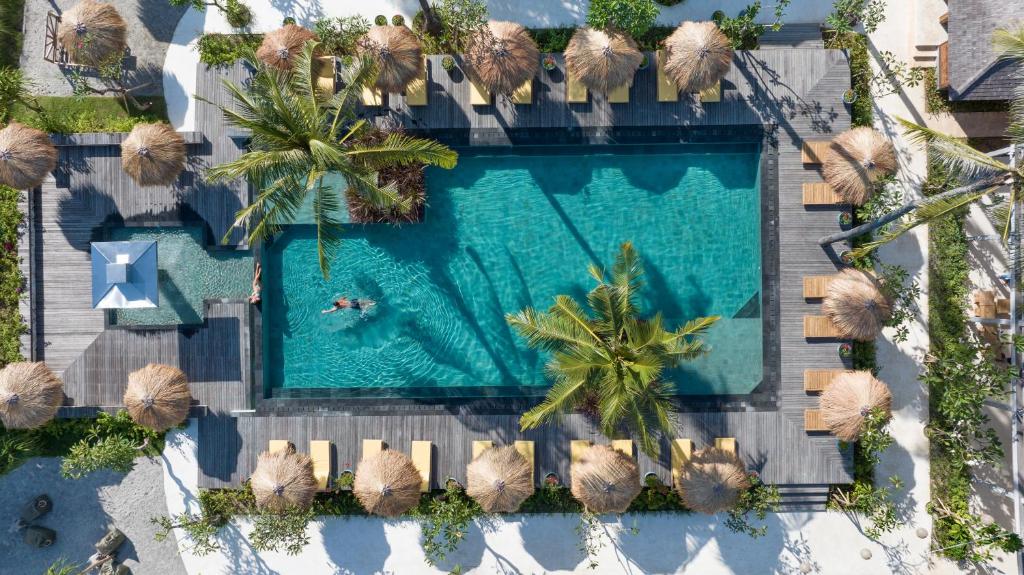 Seven Dreams A Pramana Experience - 19