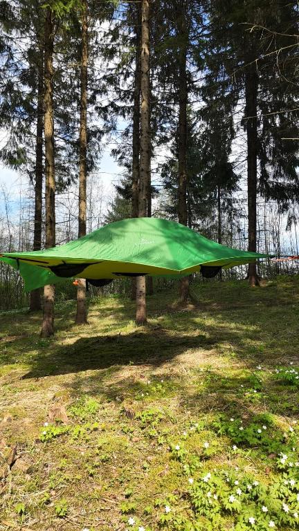 Příroda nedaleko luxury tent