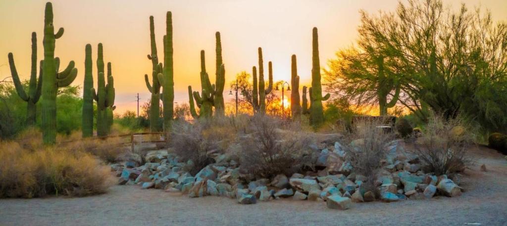 Staybridge Suites - Gilbert - East Mesa by IHG photo