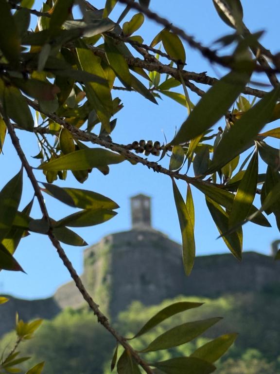Fotografie z fotogalerie ubytování Te Ajdini Guesthouse v destinaci Gjirokastër