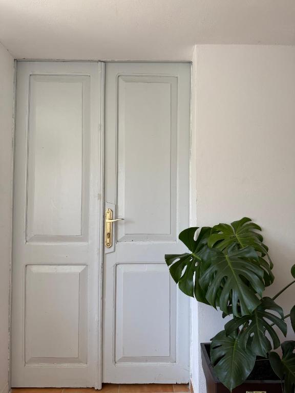 Fotografie z fotogalerie ubytování Te Ajdini Guesthouse v destinaci Gjirokastër
