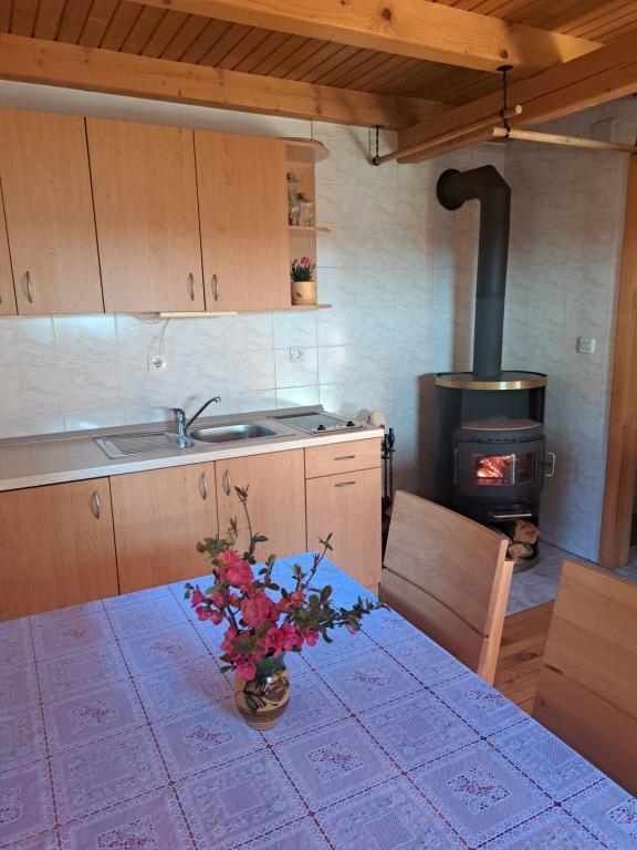 Fotografie z fotogalerie ubytování Na Rebri v destinaci Luče