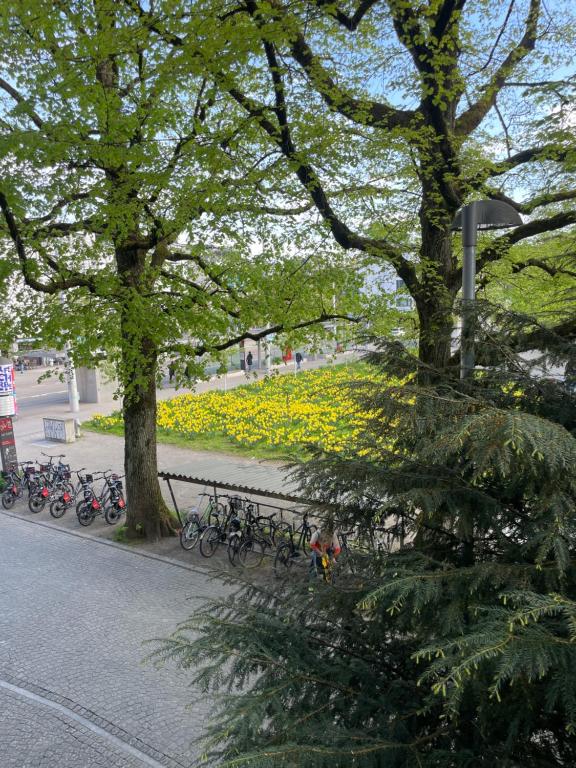 Zahrada ubytování Zimmer mit privatem Badezimmer in guter Lage