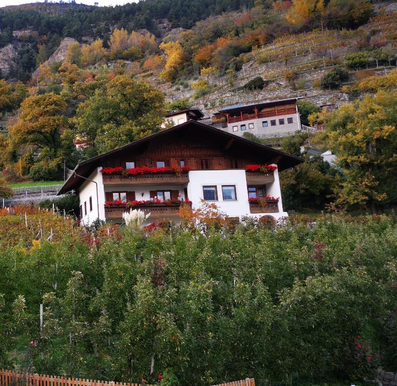 Příroda nedaleko bed and breakfast