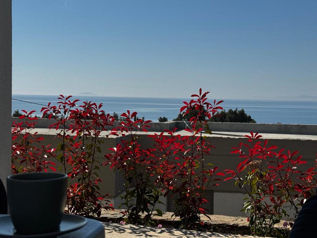 Φυσικό τοπίο κοντά σε αυτή η παραθεριστική κατοικία