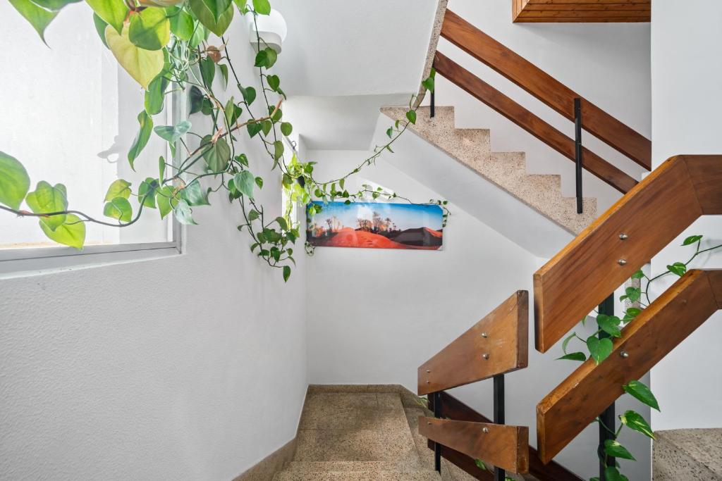 Alojamento Local Trigal - 10