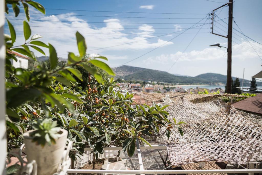 Φυσικό τοπίο κοντά σε αυτό το διαμέρισμα