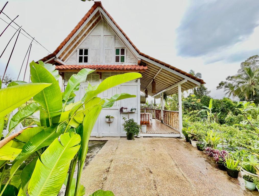 Zahrada ubytování Pondok Is Oke Villa Scenic View