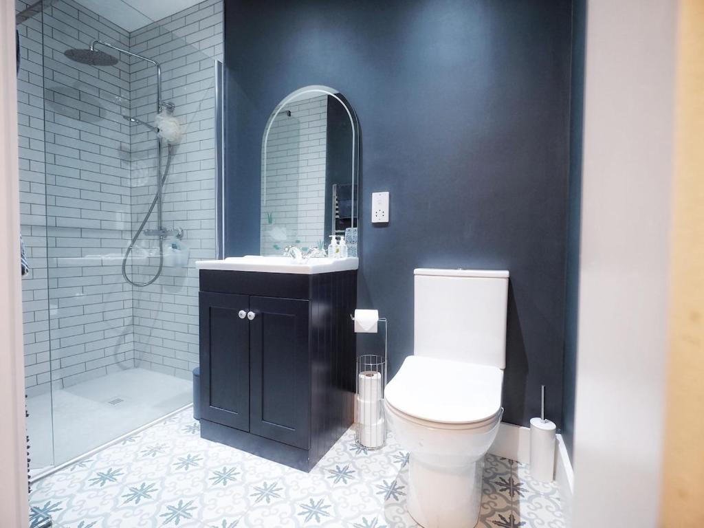 ein Badezimmer mit Toilette, Waschbecken und Dusche in der Unterkunft Loughview Cottage in Bangor