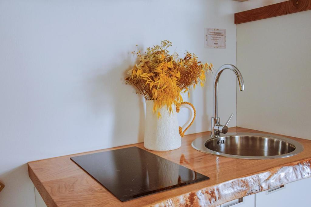 São Brás do Regedouro - Turismo na Aldeia - 3