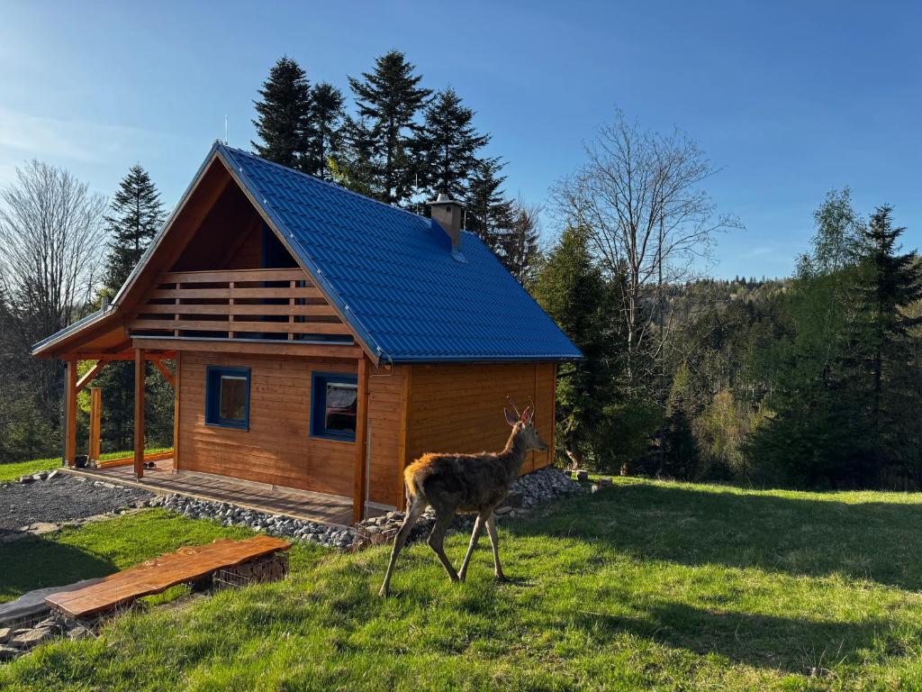 a deer walking in front of a cabin at Modrá chata pod horou in Mračkov