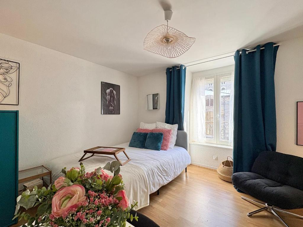 a bedroom with a bed with blue curtains and a couch at La Bonbonnière Centre ville - Thermes - Netflix in Mont-Dore