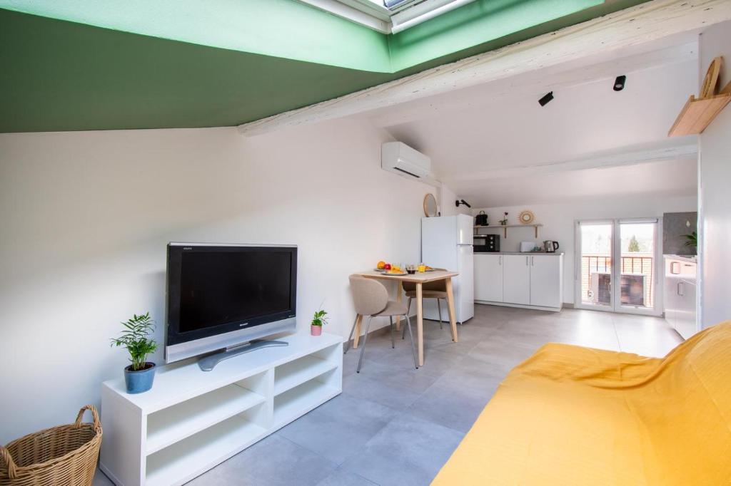 un salon avec une télévision à écran plat sur un mur dans l'établissement Beaux Arts Proche Tram et Corum Climatisation Quartier Bohème, à Montpellier