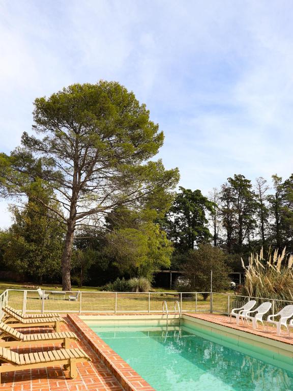 a swimming pool with lounge chairs and a tree at Posada Buen Camino in Nono
