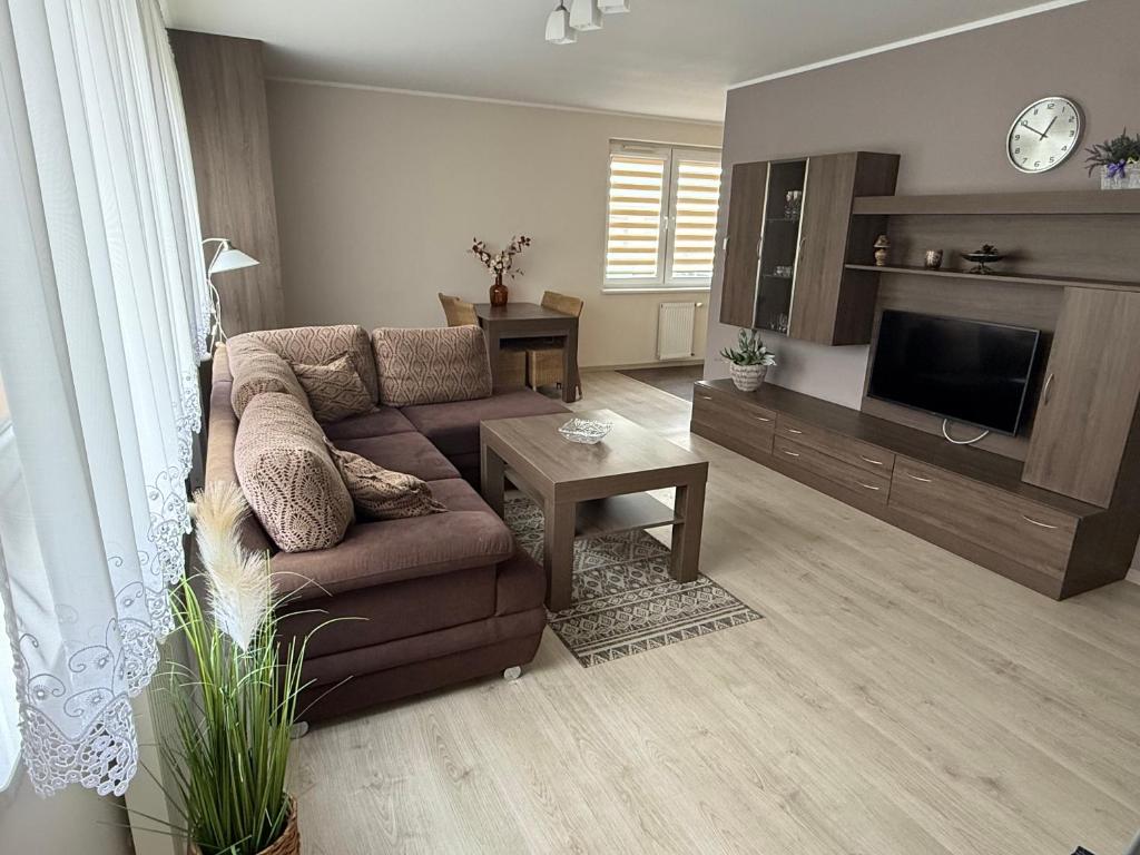 a living room with a couch and a tv at Apartament Rodzinny Zielone Tarasy in Skorka