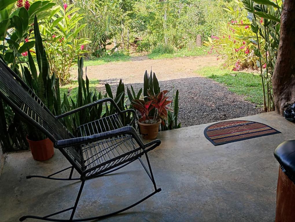 a black bench sitting on a patio with plants at Cabaña lago Río Celeste in El Achiote