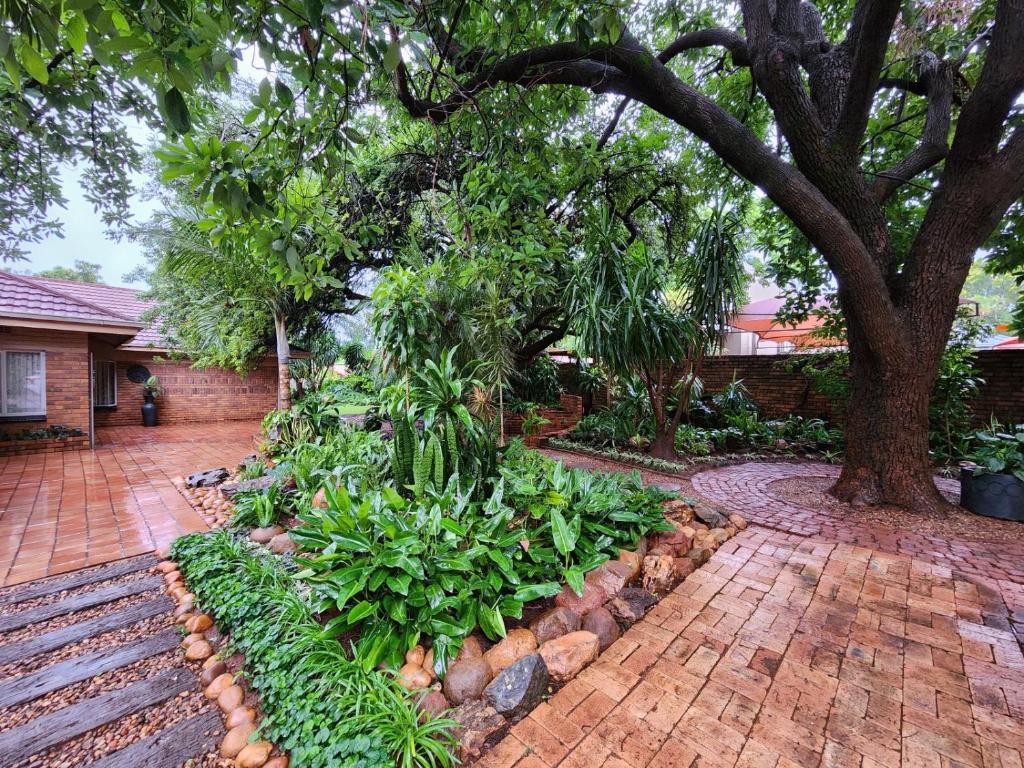 a garden with a tree and a brick driveway at Tree Aloe Guest House in Mokopane