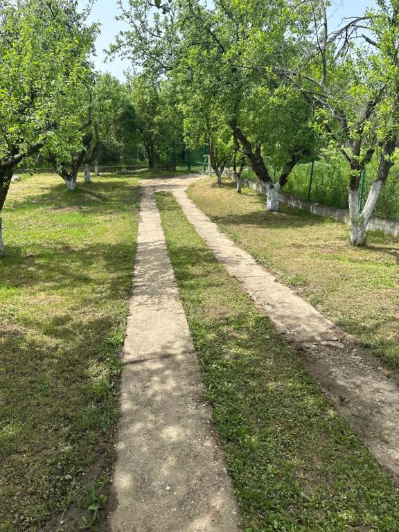 Vrt ispred objekta Tresnjin cvet