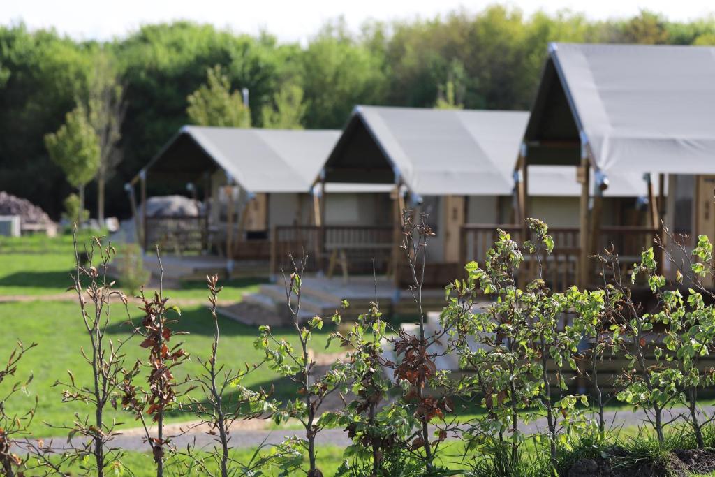Zahrada ubytování Safaritent Wood met tuinzicht