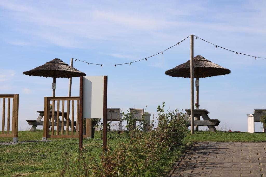 Zahrada ubytování Safaritent Wood met tuinzicht