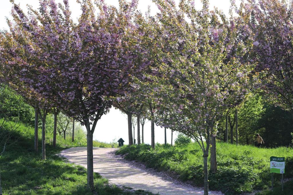 Zahrada ubytování Safaritent Wood XL met tuinzicht