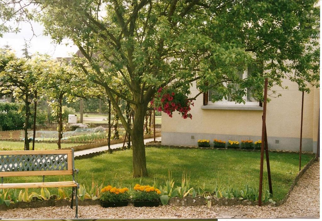 un parc avec un banc et des fleurs et un bâtiment dans l'établissement Maison proche parc Disney, à Montry