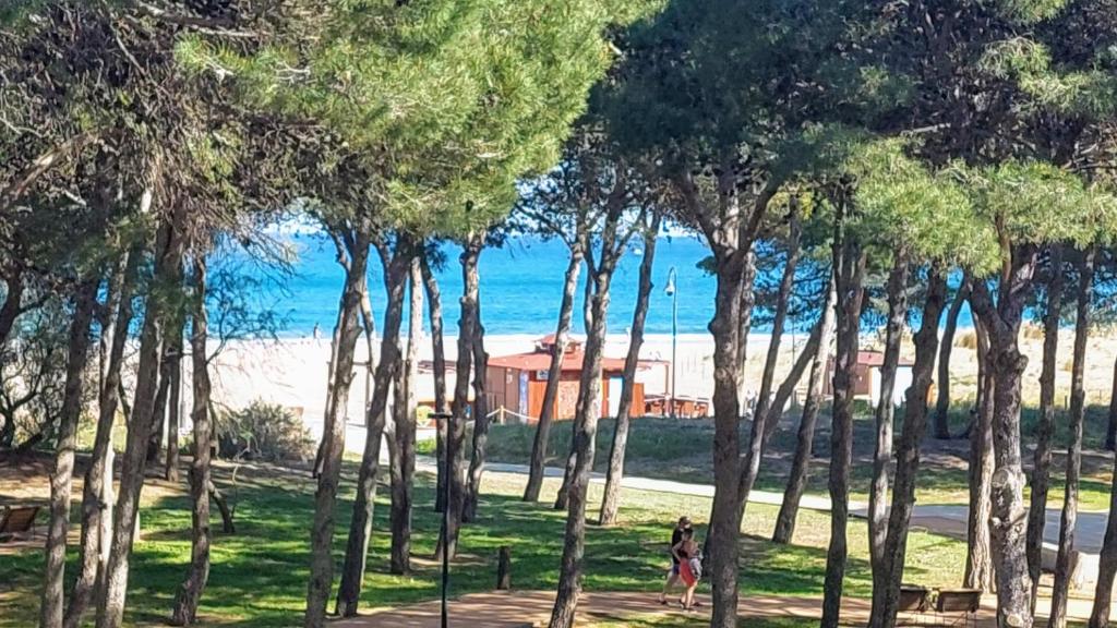 Príroda v okolí apartmánu