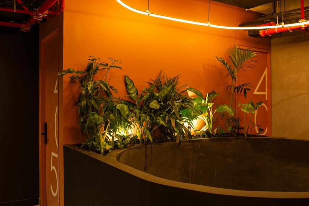 Fotografie z fotogalerie ubytování Hunters Hotel v destinaci Medellín