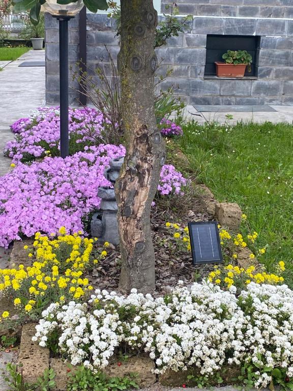 Ogród w obiekcie B&B Il castagno