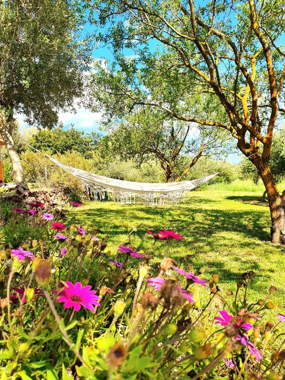 Zahrada ubytování Green Hotel "I Mandorli di Dommos"