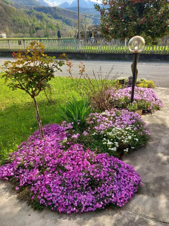 Ogród w obiekcie B&B Il castagno