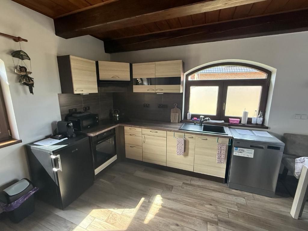 Kuchyň nebo kuchyňský kout v ubytování Penzion - Apartman Přestavlky