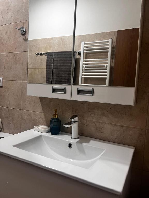 Koupelna v ubytování Apartman Golden Crown