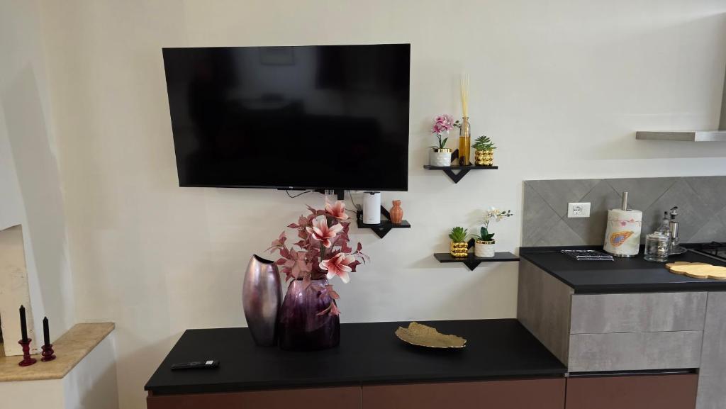 Kuchyň nebo kuchyňský kout v ubytování Oltre la Siepe Apartment