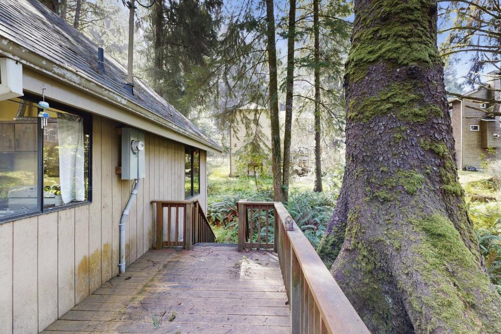 Zahrada ubytování Haystack Hideaway