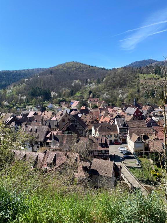 Mobile home 6personnes ,Alsace , munster France – photo 5