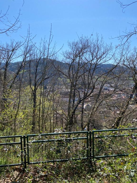 Mobile home 6personnes ,Alsace , munster France – photo 22
