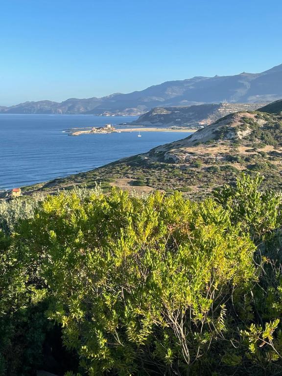 a view of the ocean from a hill with trees at Villa vista mare a Bosa in Magomadas